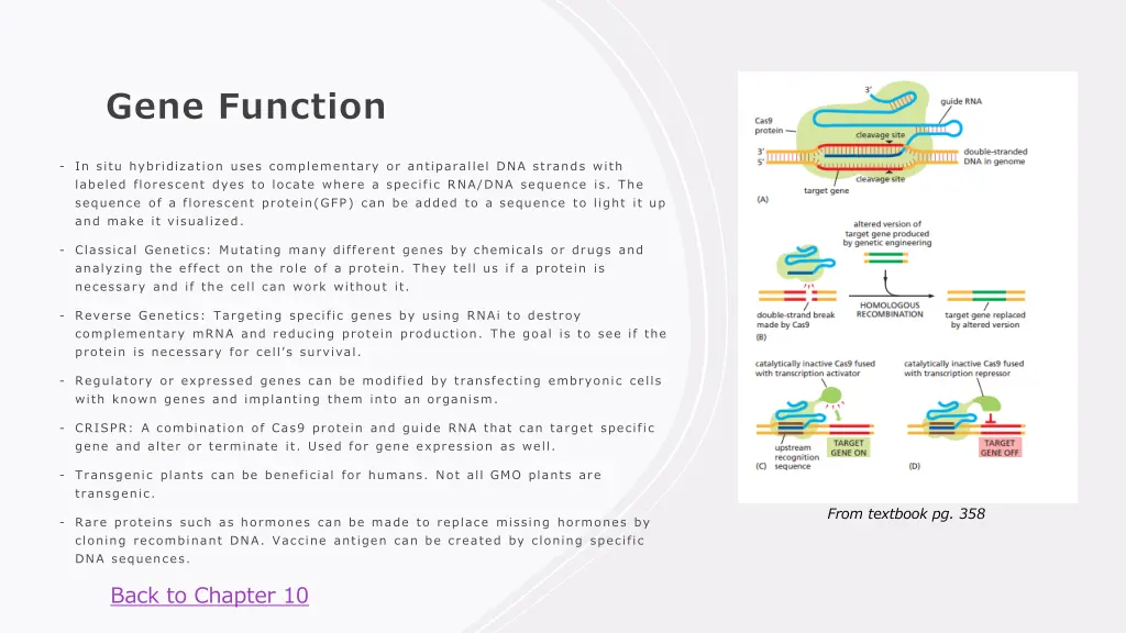 gene function