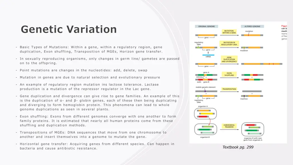 genetic variation