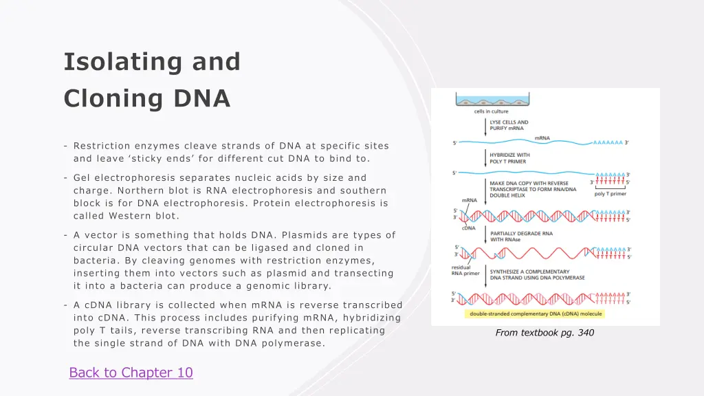 isolating and cloning dna