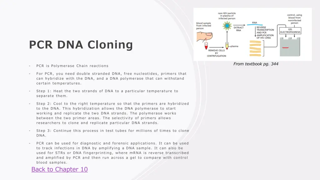 pcr dna cloning