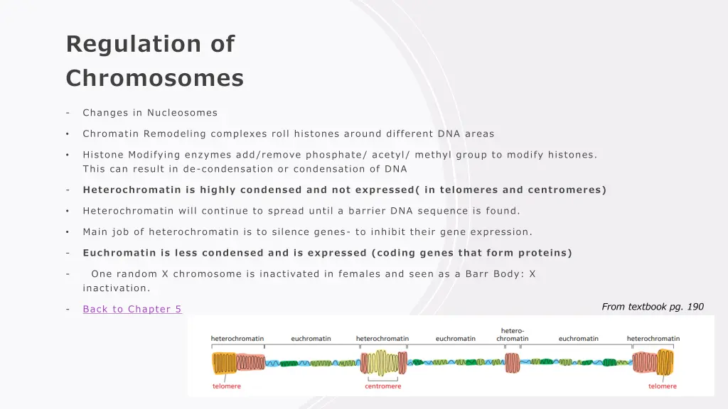 regulation of chromosomes