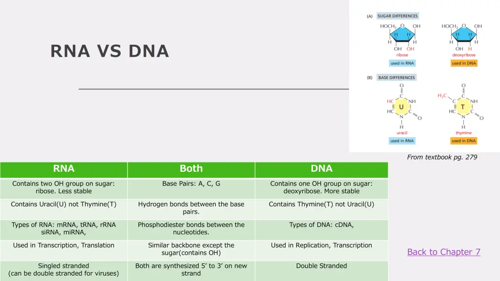 rna vs dna