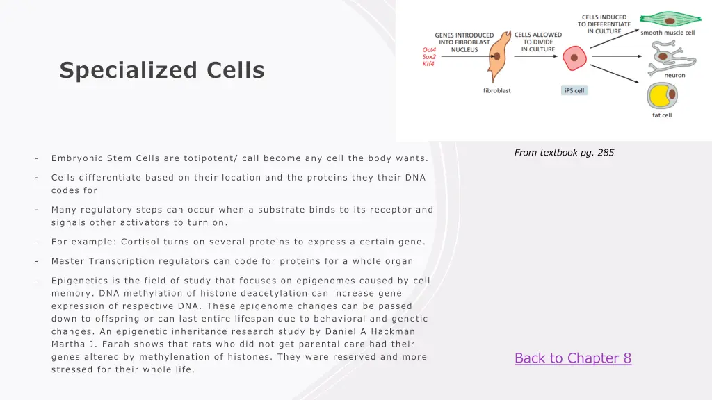 specialized cells