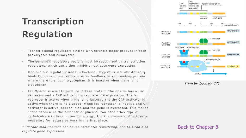 transcription regulation