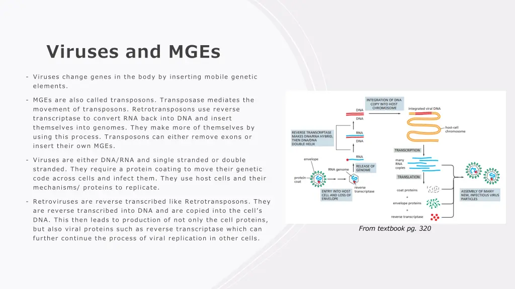 viruses and mges