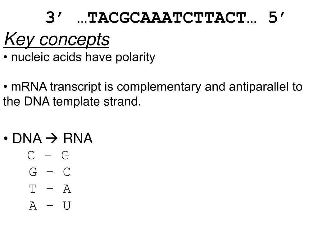 3 tacgcaaatcttact 5 key concepts nucleic acids