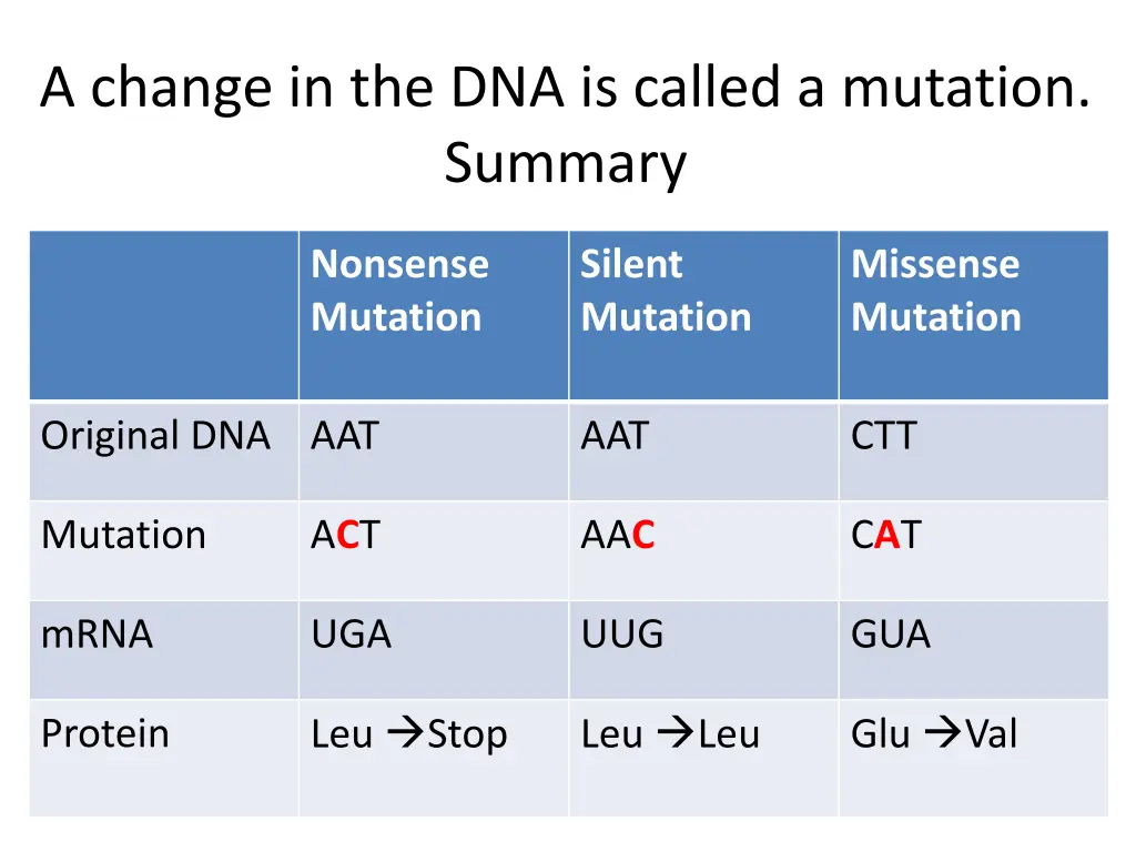 a change in the dna is called a mutation summary