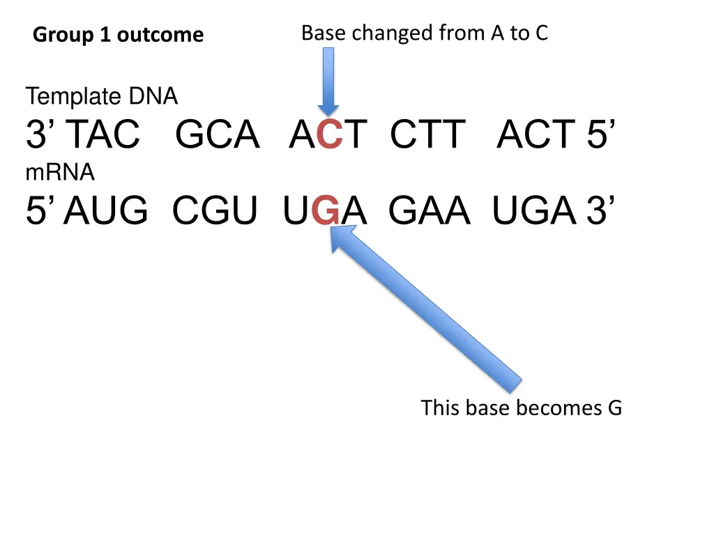 base changed from a to c 1