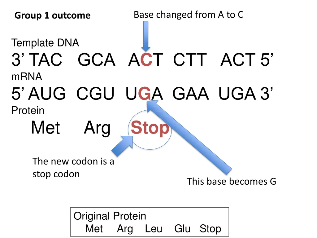 base changed from a to c 2