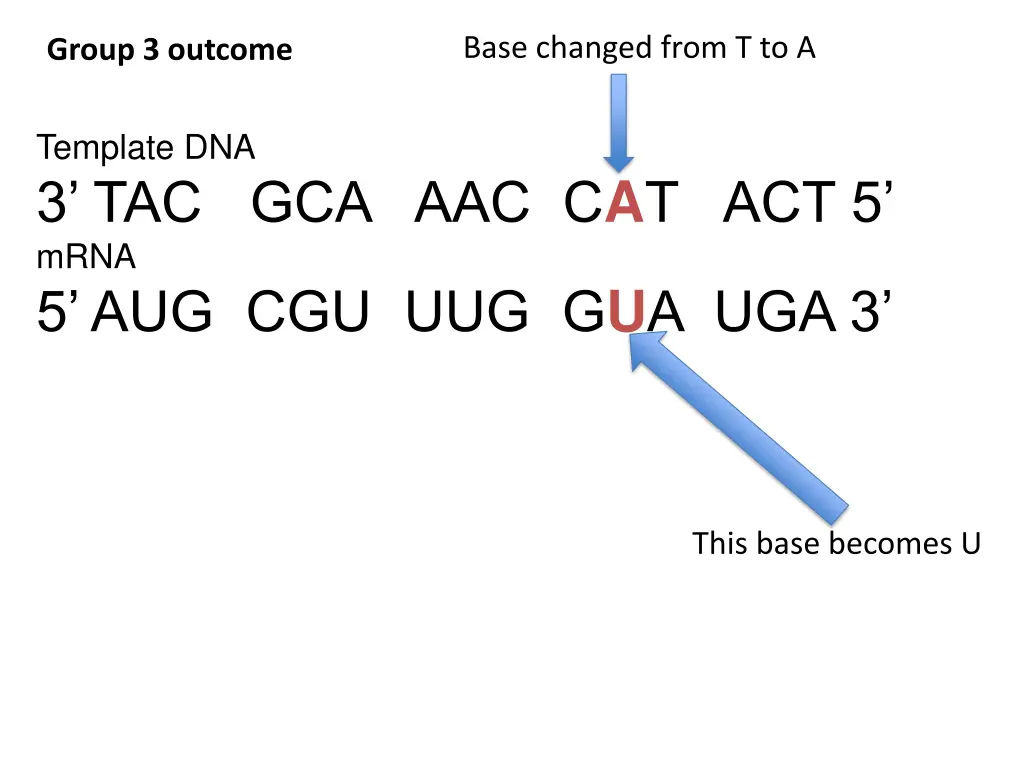 base changed from t to a 1