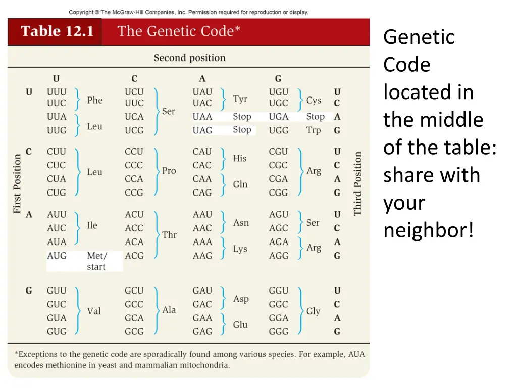 genetic code located in the middle of the table