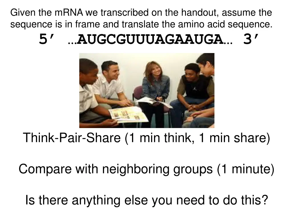 given the mrna we transcribed on the handout