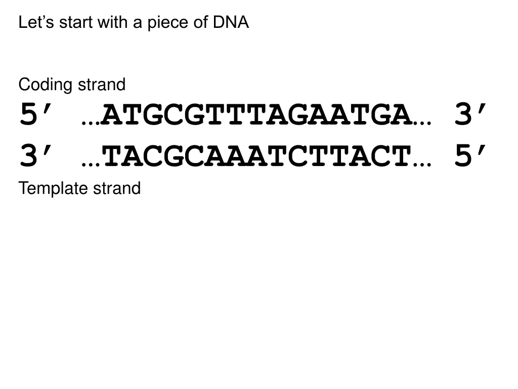 let s start with a piece of dna