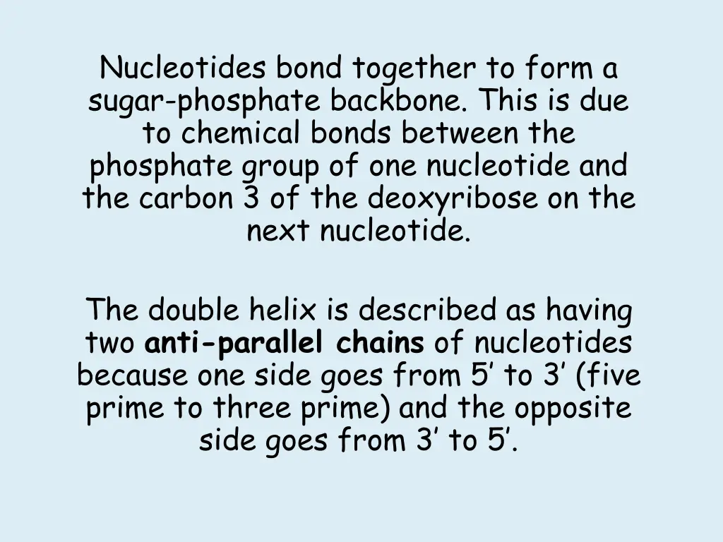 nucleotides bond together to form a sugar 1