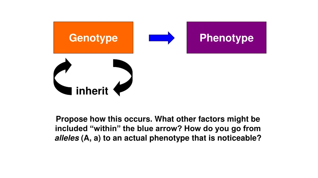 genotype