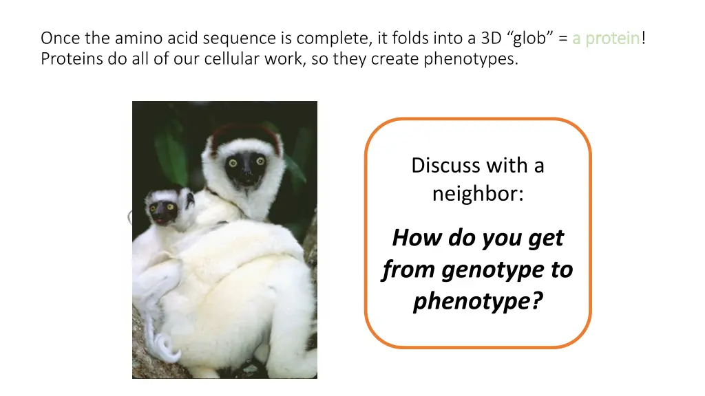 once the amino acid sequence is complete it folds