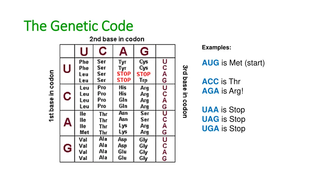 the genetic code the genetic code