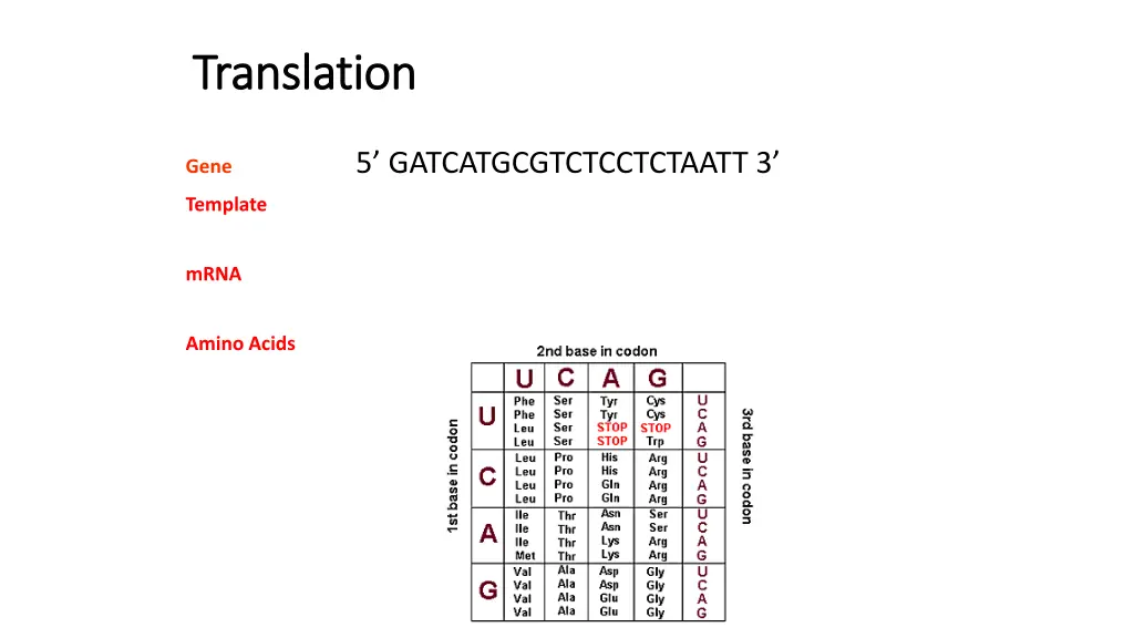 translation translation 1