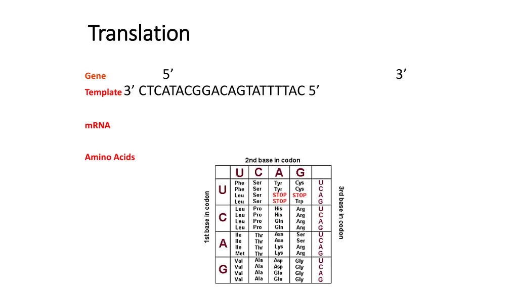 translation translation 2