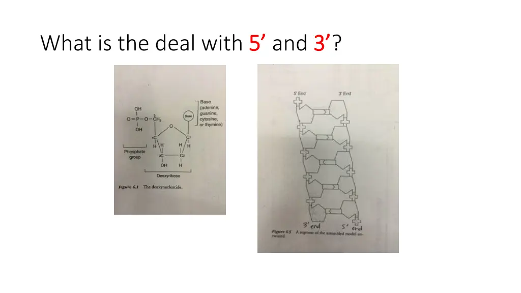 what is the deal with 5 5 and 3 3