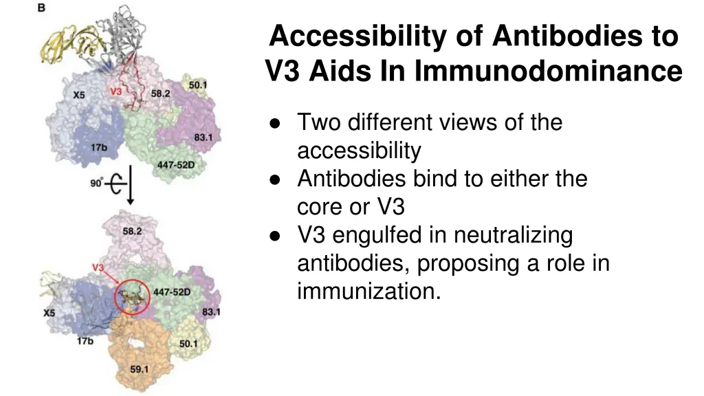 accessibility of antibodies to v3 aids