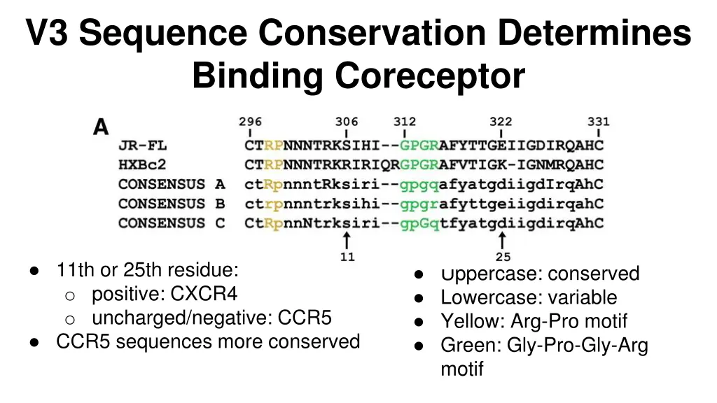 v3 sequence conservation determines binding