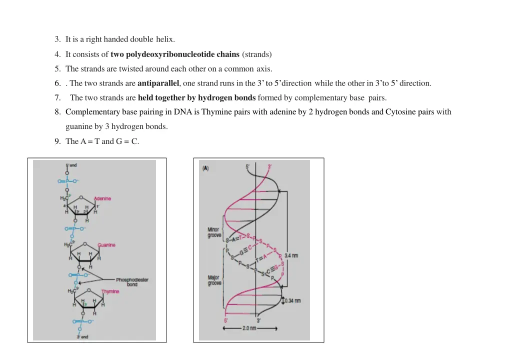 3 it is a right handed double helix