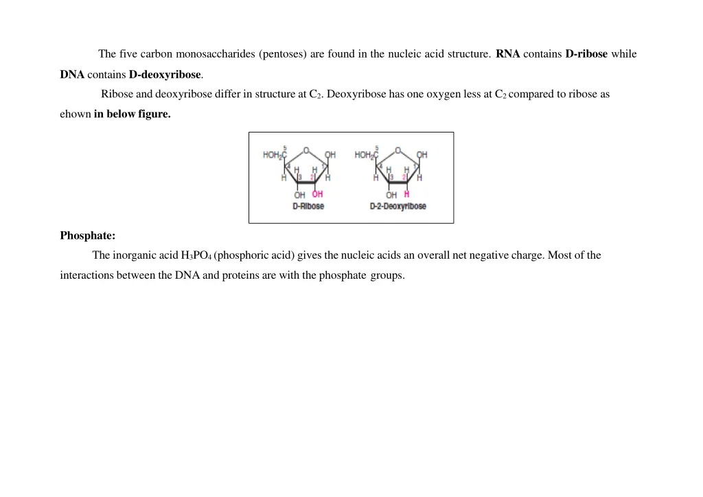 the five carbon monosaccharides pentoses