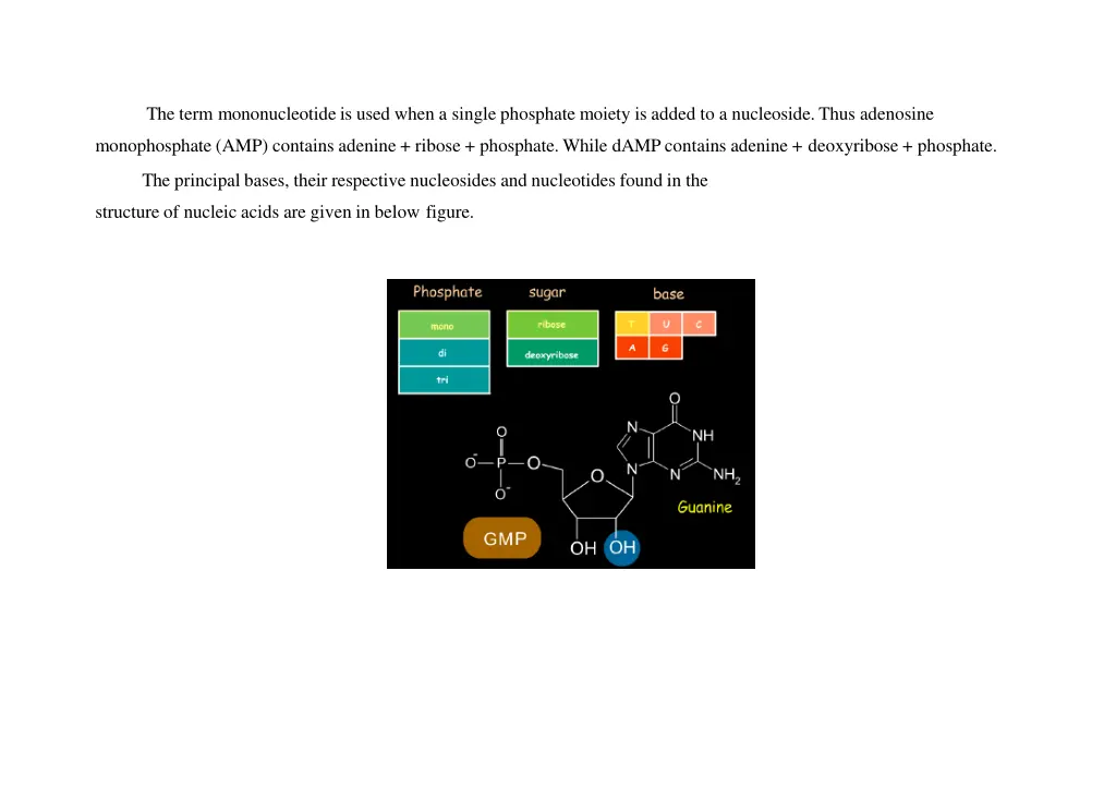 the term mononucleotide is used when a single