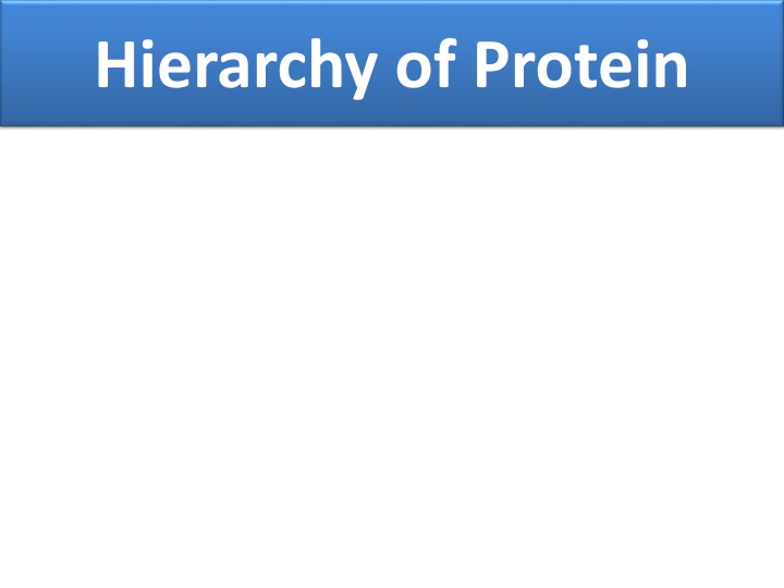 hierarchy of protein