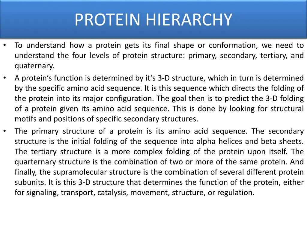 protein hierarchy