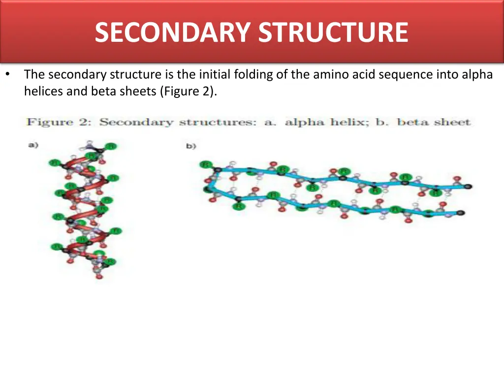 secondary structure