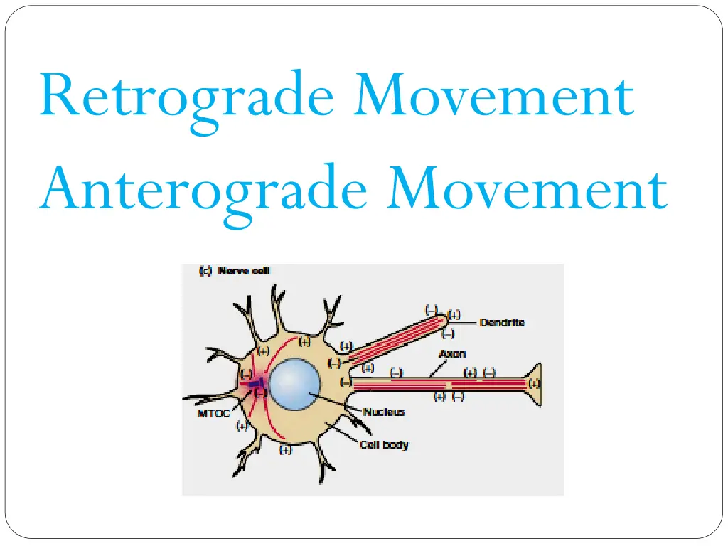 retrograde movement anterograde movement