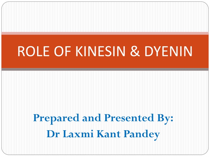 role of kinesin dyenin