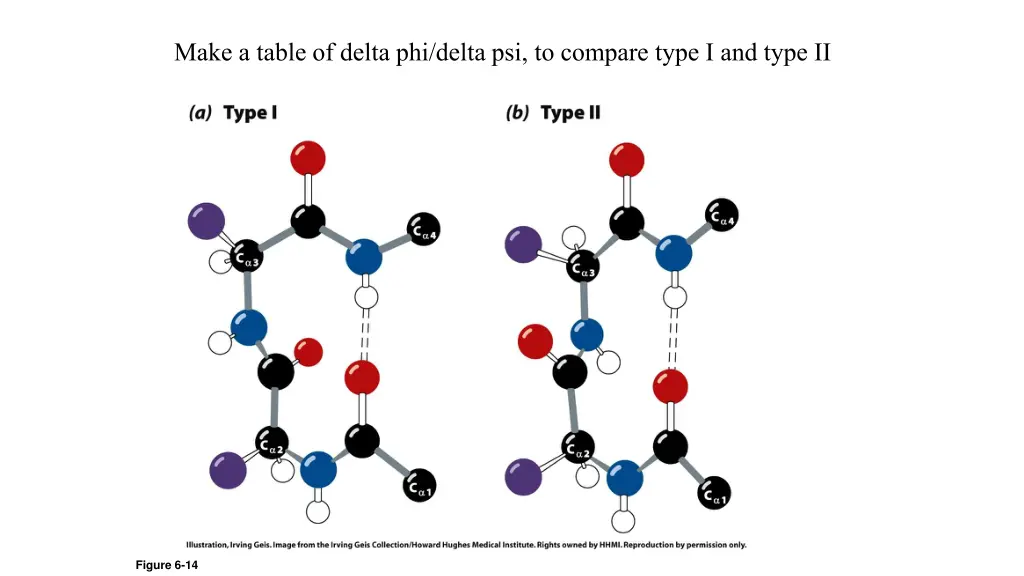 make a table of delta phi delta psi to compare