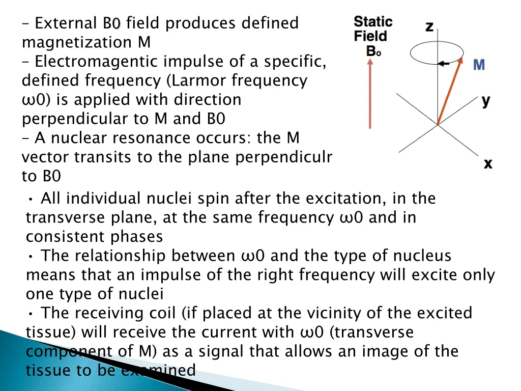 external b 0 field produces defined magnetization