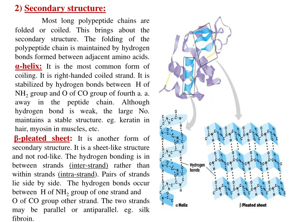 2 secondary structure most long polypeptide