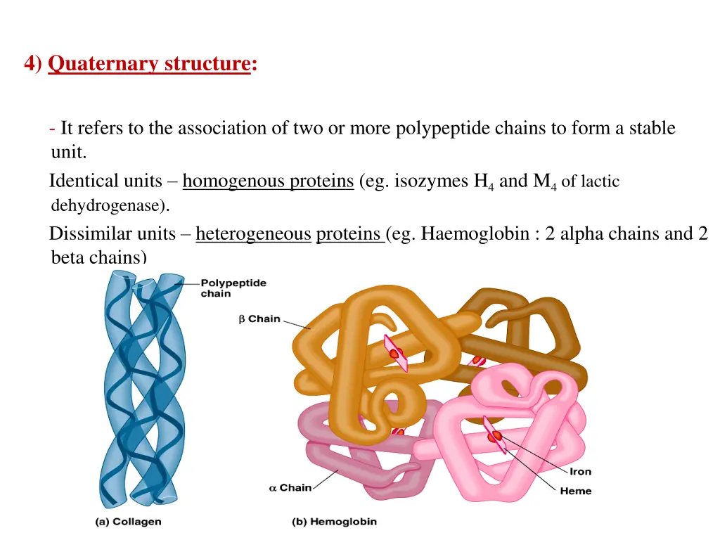 4 quaternary structure