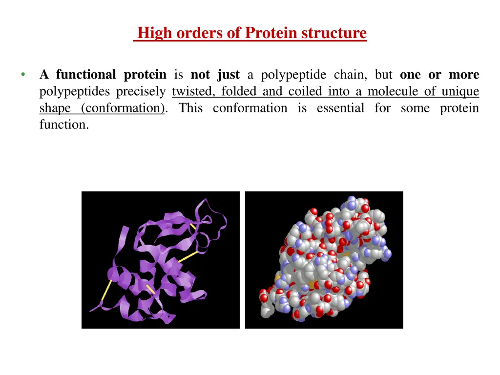 high orders of protein structure