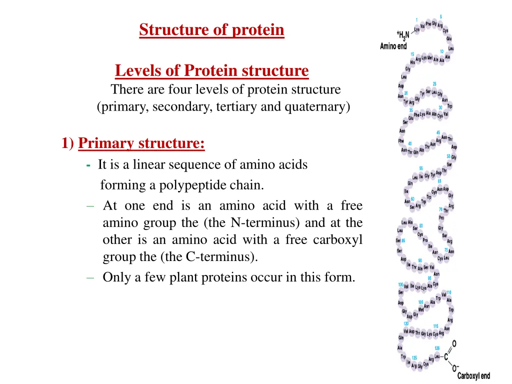 structure of protein