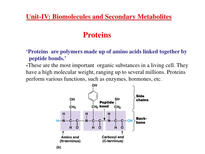 unit iv biomolecules and secondary metabolites