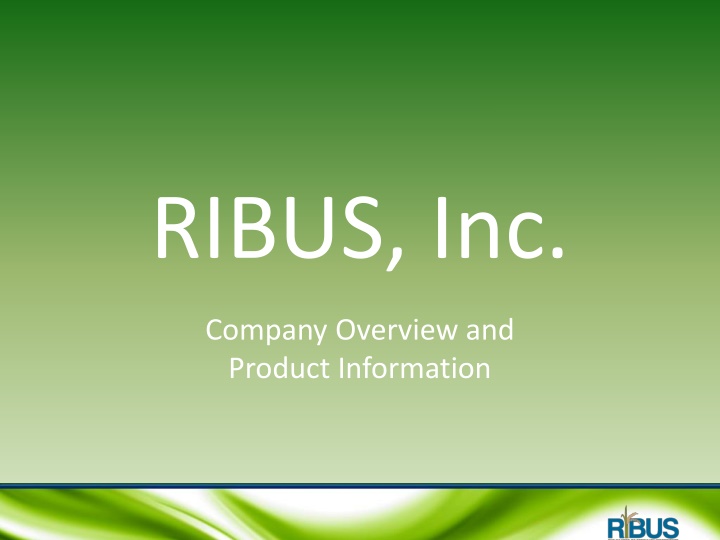 ribus inc