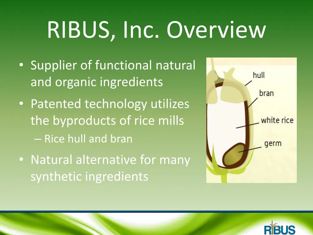 ribus inc overview 1