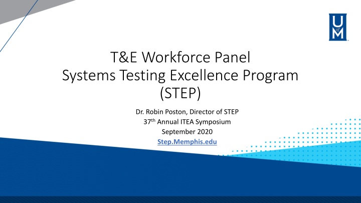 t e workforce panel systems testing excellence