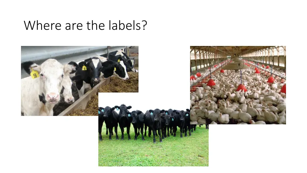 where are the labels