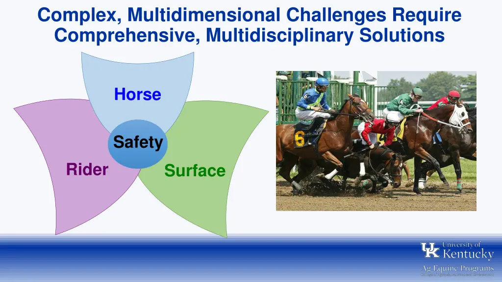 complex multidimensional challenges require