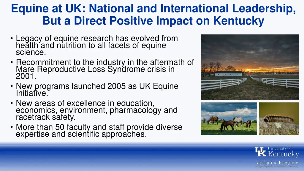 equine at uk national and international