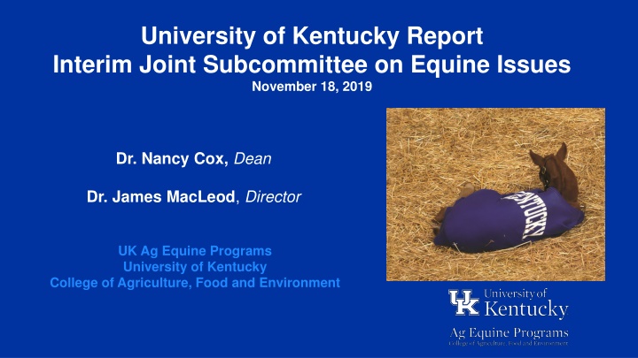 university of kentucky report interim joint