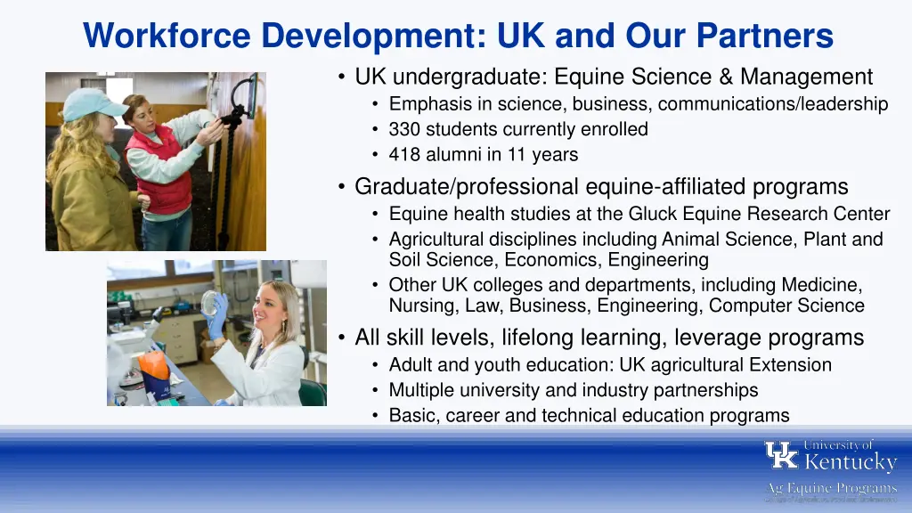 workforce development uk and our partners