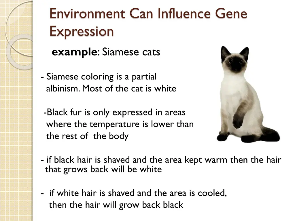 environment can influence gene expression example